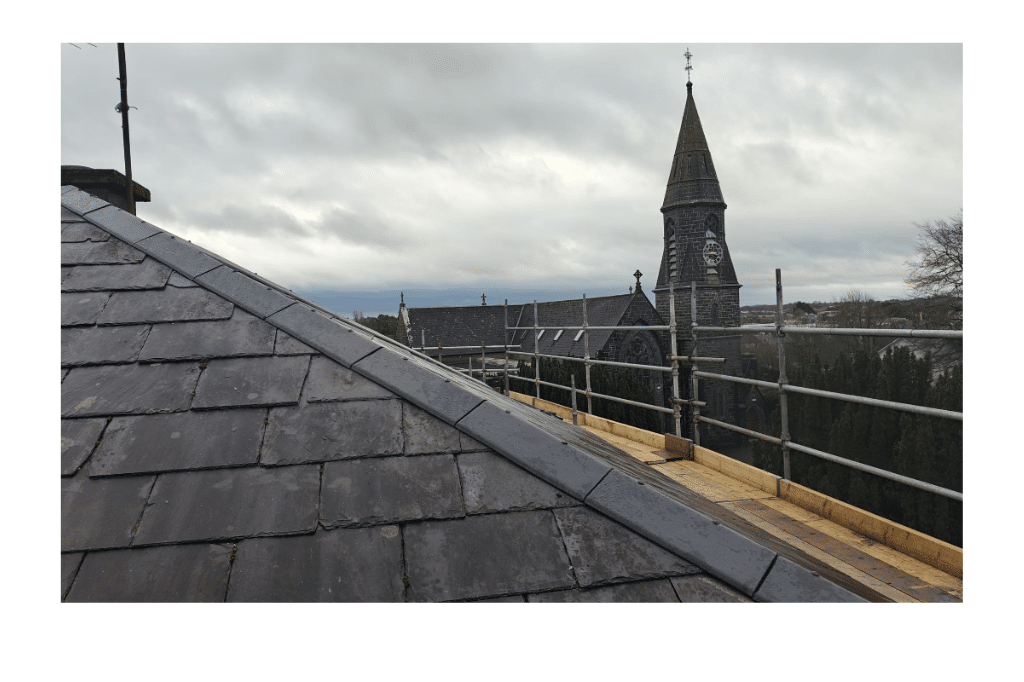 fixing a roof leak in South Dublin